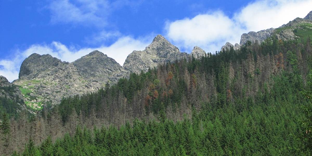 Lykožrút v Tatrách ničí stále viac lesných porastov
