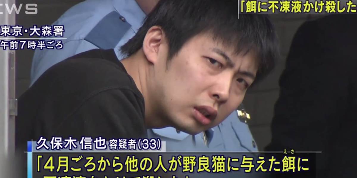 Japonca zatkli za sériové zabíjanie mačiek, usmrtili ich najmenej 40!