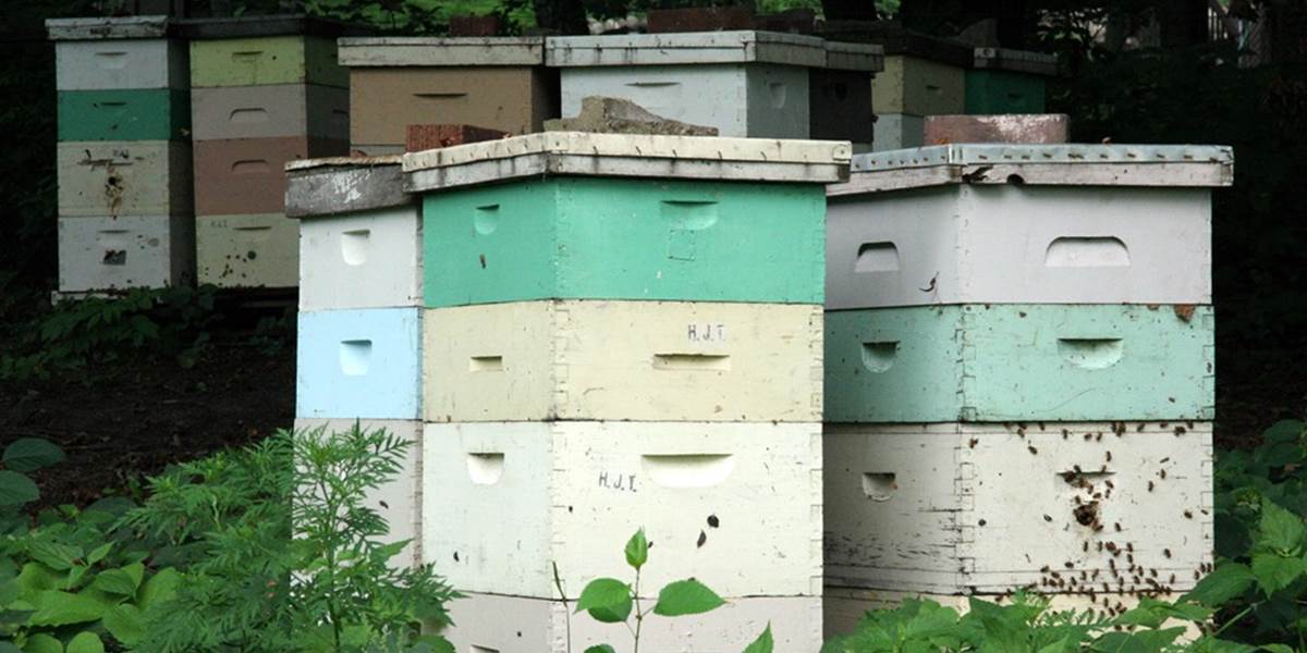 Zlodej ukradol úle, spôsobil škodu za viac 1 500 eur