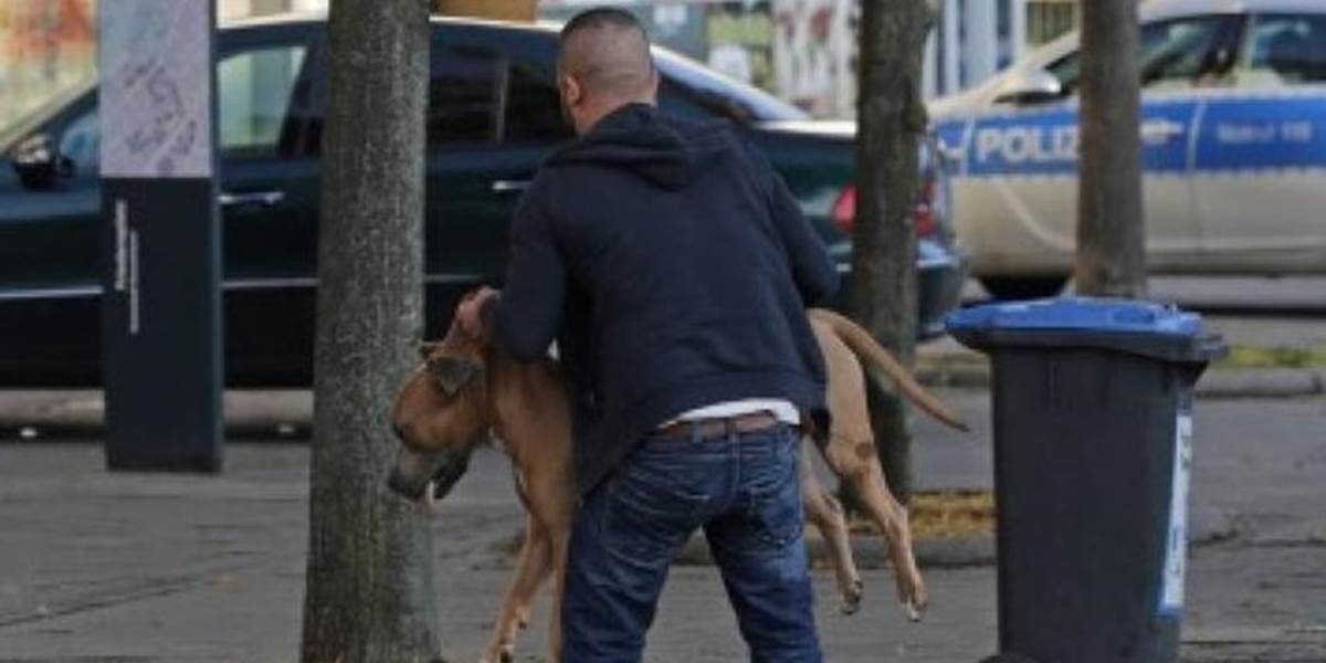 Otrasné VIDEO: Nemeckí policajti zastrelili dvoch psov priamo na ulici!