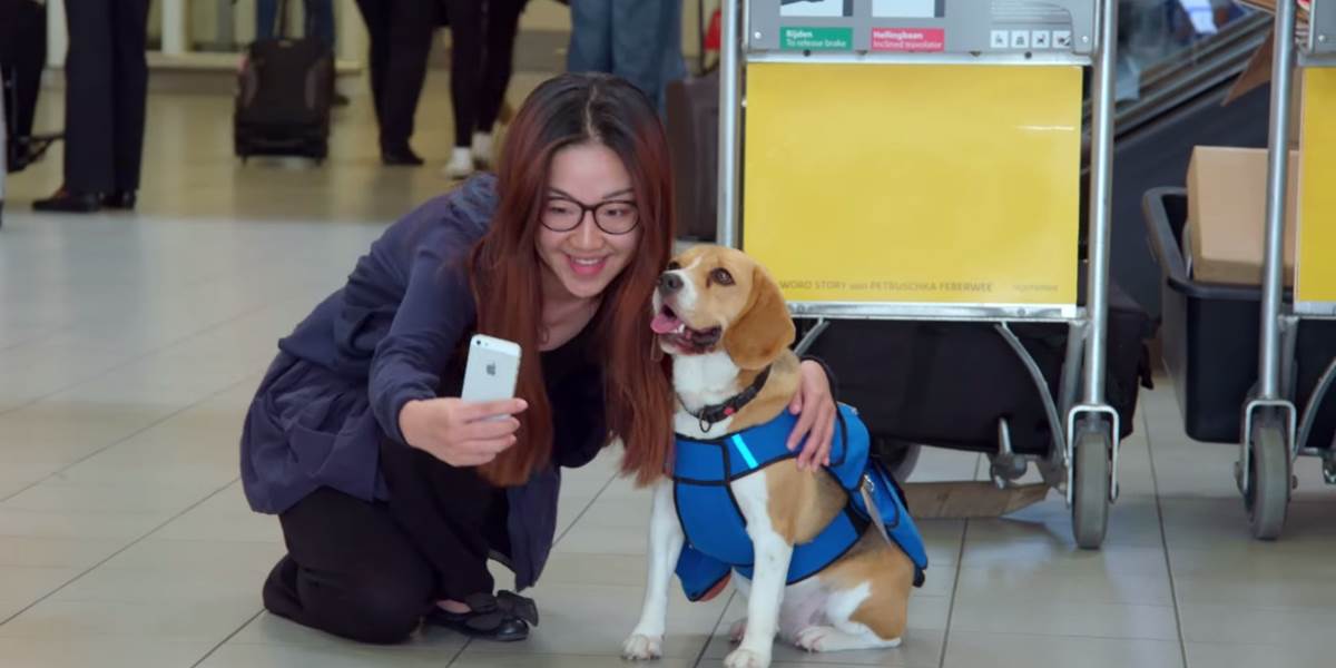 VIDEO Aerolínie KLM používajú roztomilého psíka, ktorý vracia ľuďom zabudnuté veci
