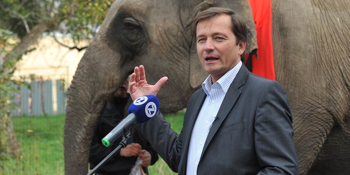 Kandidát na primátora Prešova prišiel na tlačovku s cirkusovým slonom!