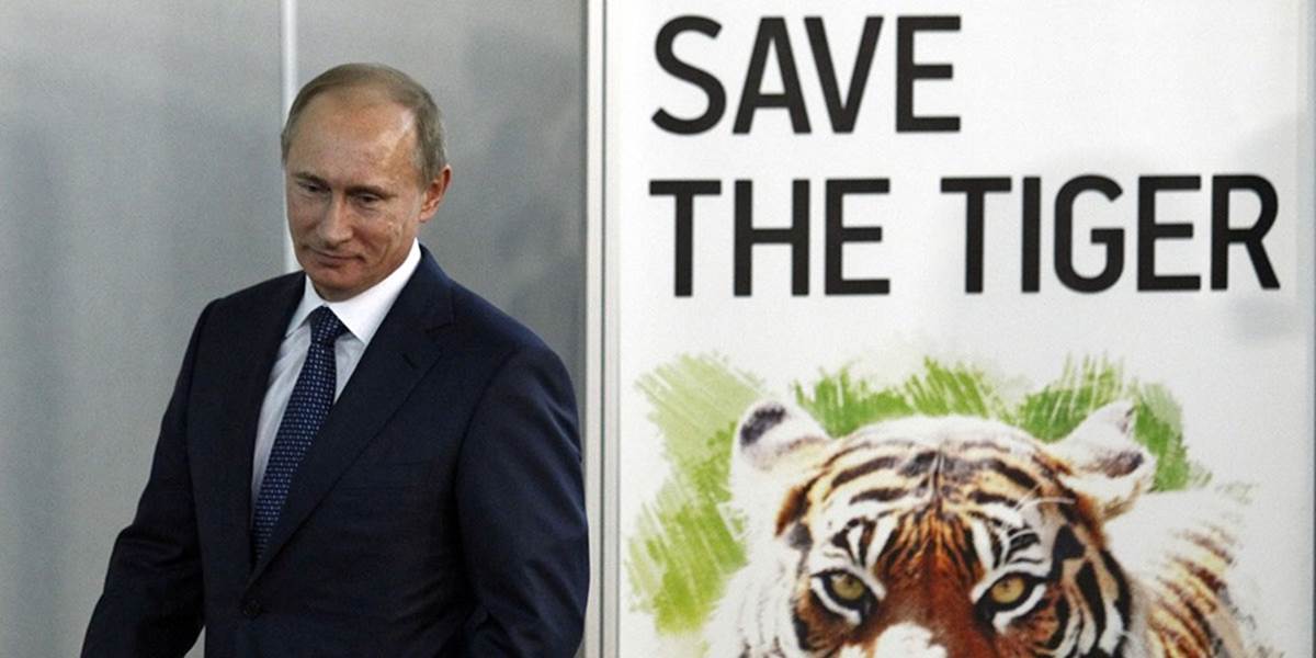 Putinov vzácny sibírsky tiger sa zrejme zatúlal do Číny
