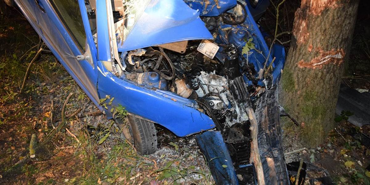 Tragická nehoda neďaleko Gbelov: Vodič neprežil náraz do stromu!