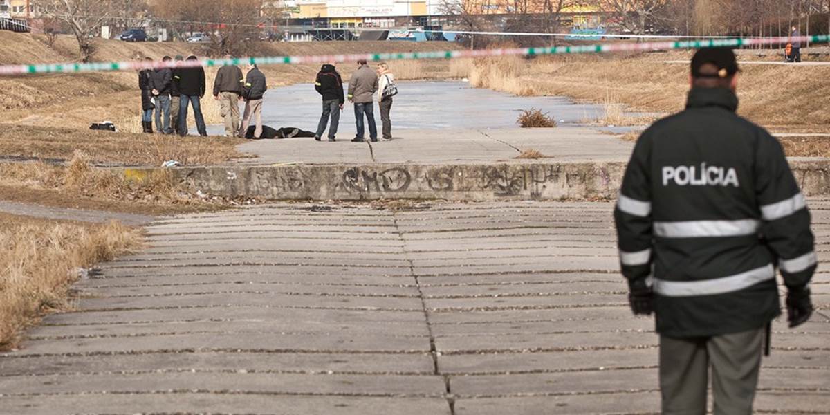 Na poli pri obci Paňovce našli mŕtveho muža s prestreleným hrudníkom