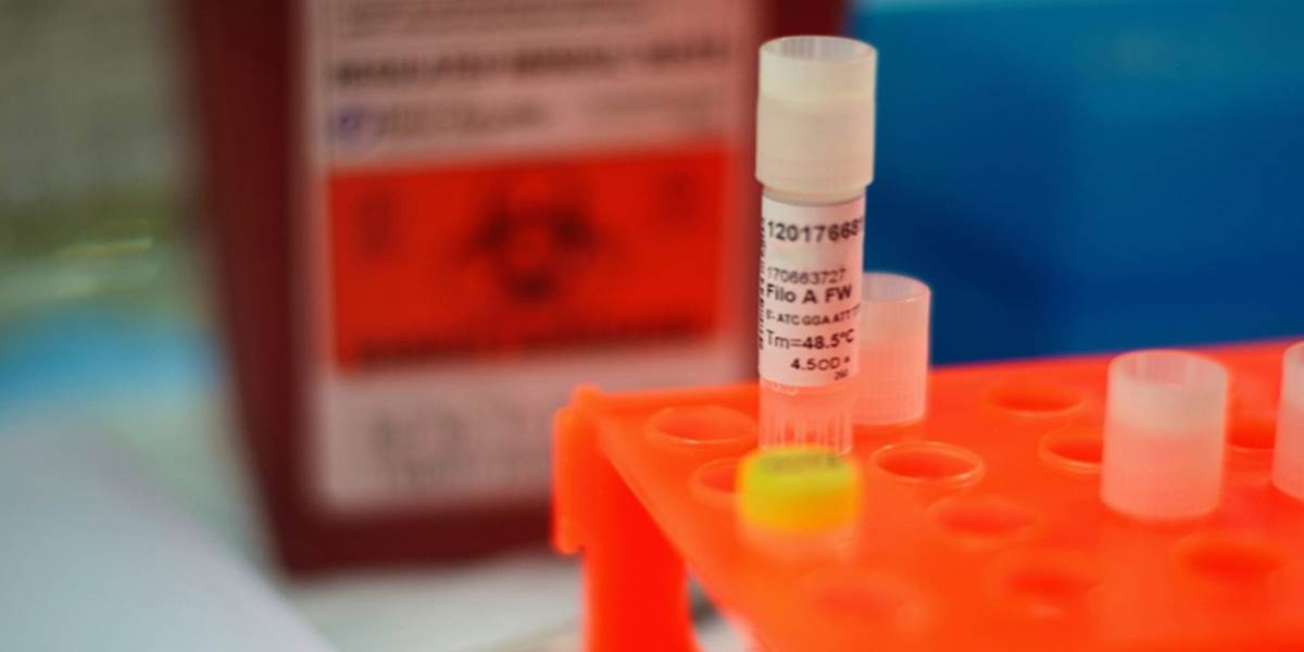 Päť ďalších vakcín proti ebole sa začne testovať v marci