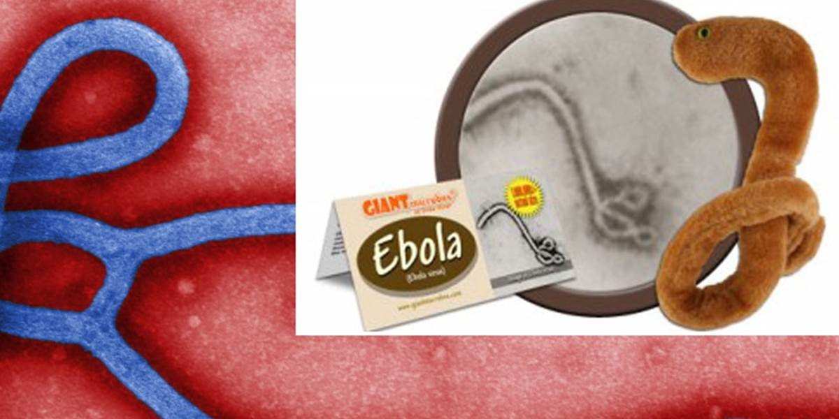 Obchodníci prišli na to, ako zarobiť na ebole: Vyrábajú plyšové imitácie