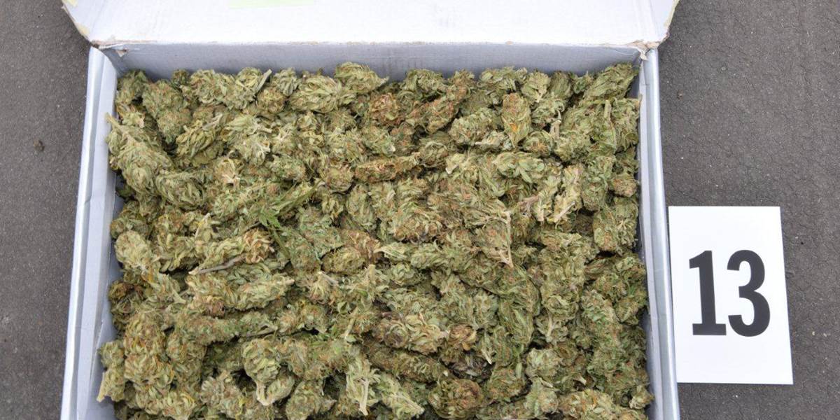 Počas akcie Hydro našli policajti tri kilogramy marihuany