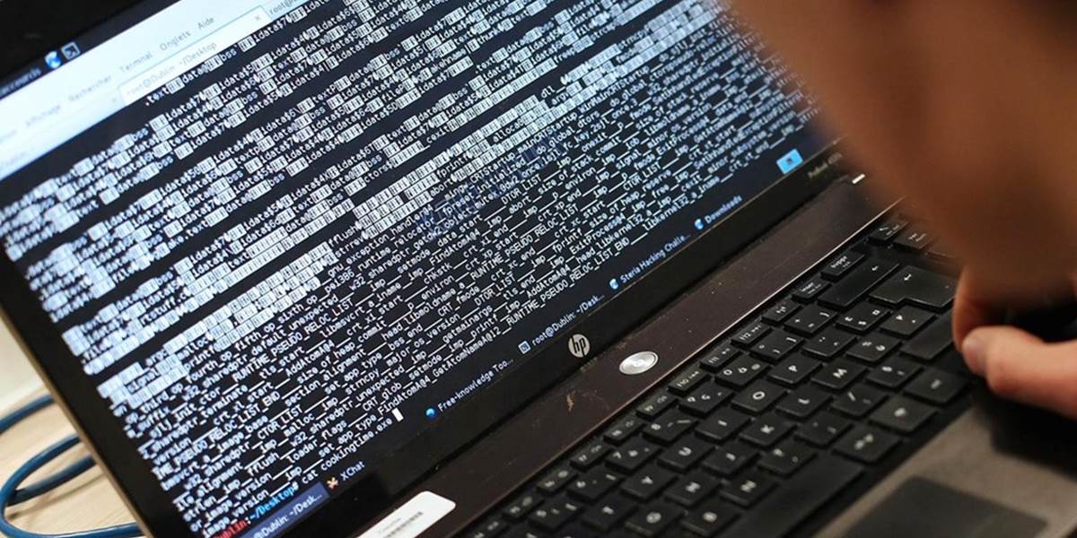 Holandský minister schválil vydanie údajného hackera do USA