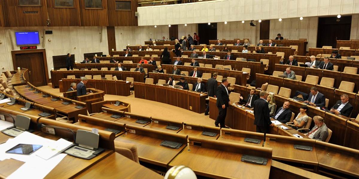 Ministri prerušili rokovanie o novelách trestných kódexov