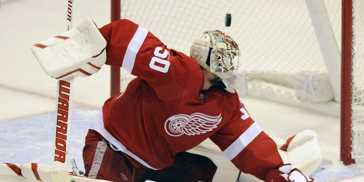 NHL: Detroitu budú chýbať Daciuk aj Gustavsson