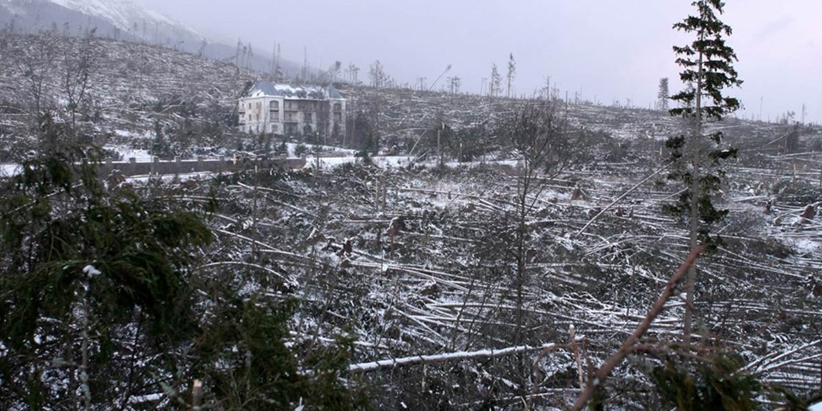 Pred desiatimi rokmi zasiahla Vysoké Tatry ničivá kalamita