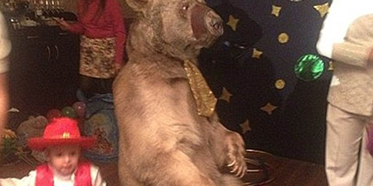 Rus Kombarov si na narodeniny svojho syna prenajal medveďa