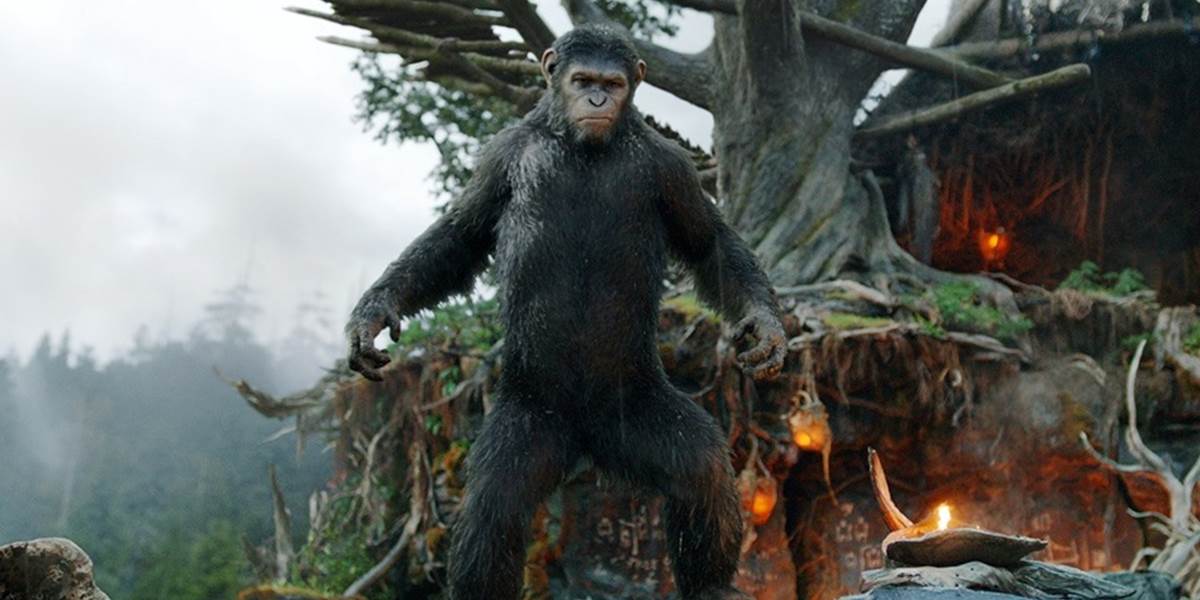 Filmová séria o planéte opíc môže mať až päť častí