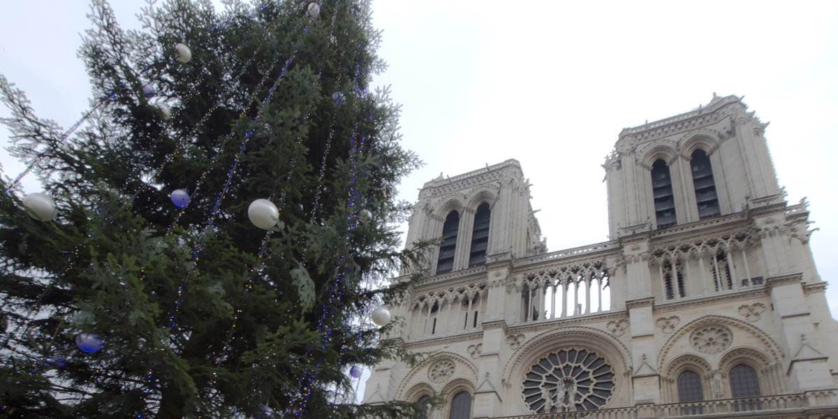 Notre Dame dostala vianočný stromček od ruskej vlády