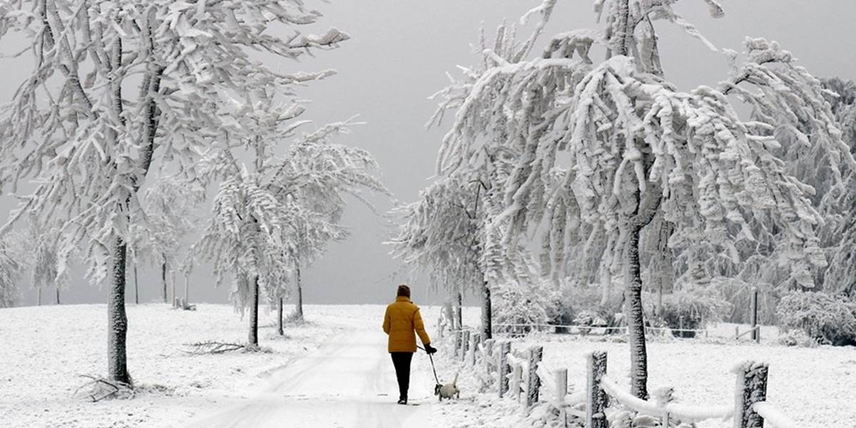 Na najväčšom japonskom ostrove Honšu zabíja sneh