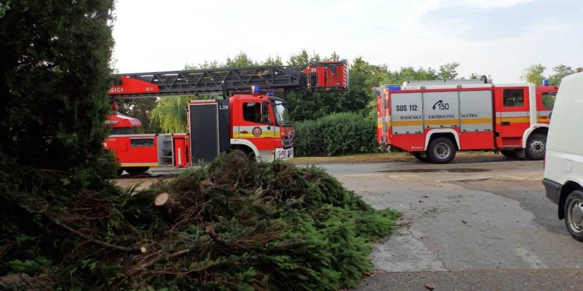 Silný vietor vyvracal stromy v Rožňavskom okrese