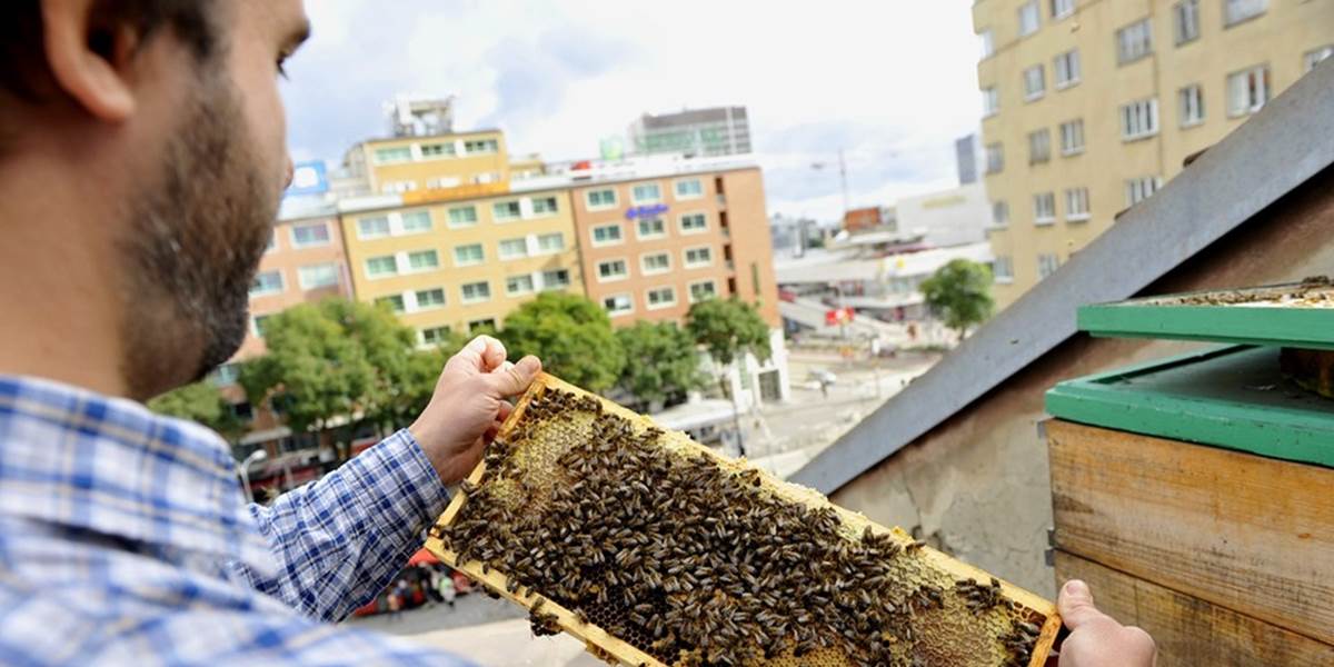 Na vianočnom Dobrom trhu v Bratislave možno darovať včelu na adopciu