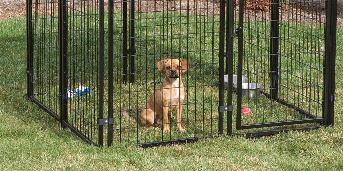 Pes vopchal hlavu medzi mreže, vyslobodiť ho museli hasiči