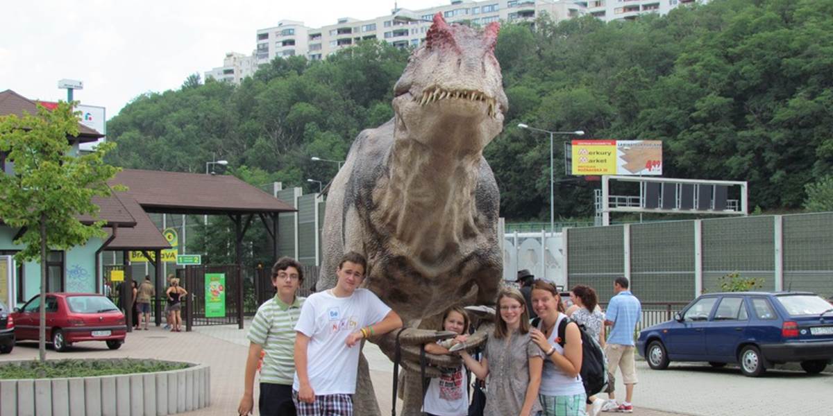 Bratislavskej zoo medziročne vzrástla návštevnosť, otvorená bude i na Štedrý deň