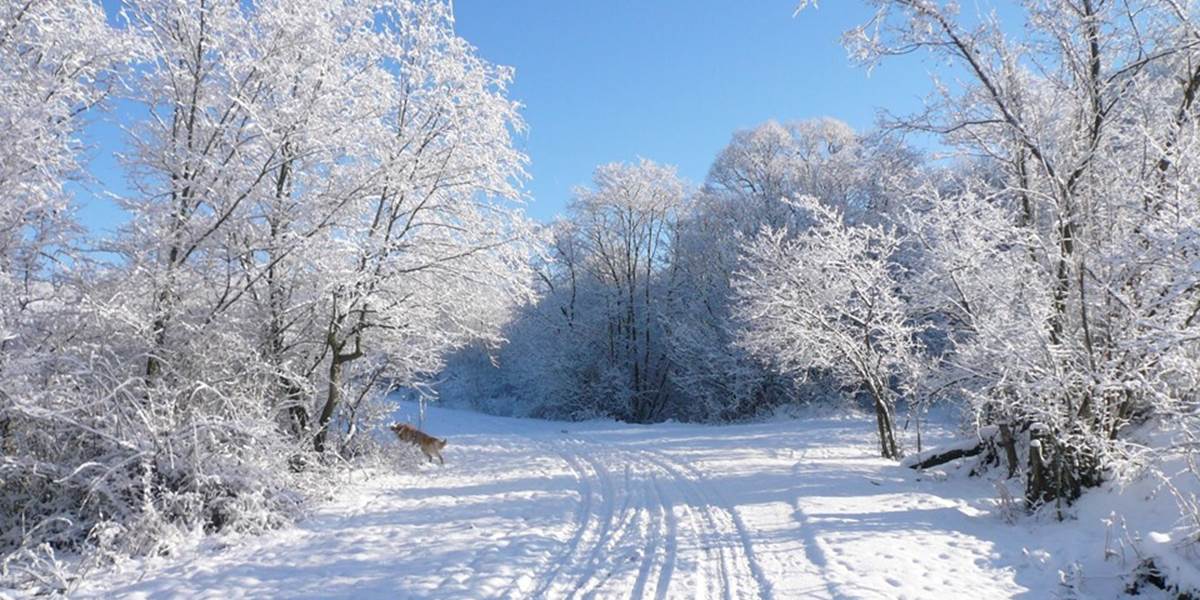 Vianoce budú v nižších polohách takmer bez snehu