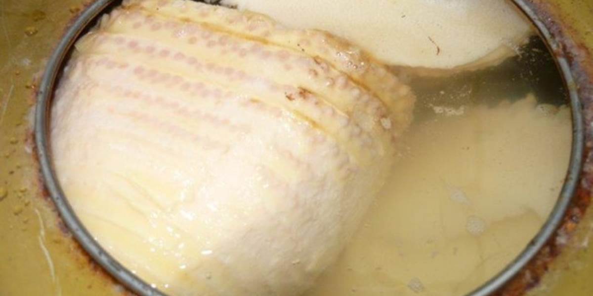 Českí inšpektori našli vyše 20 ton plesnivých bambusových výhonkov