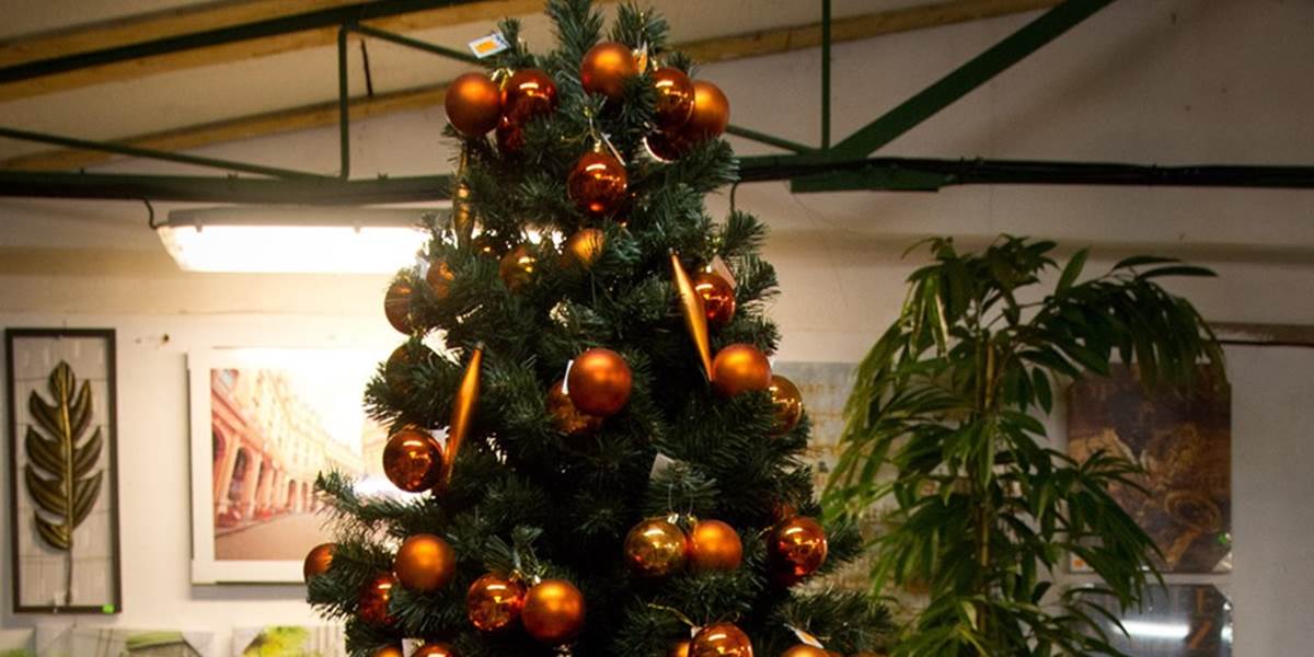 Vianoce môže znepríjemniť požiar stromčeka, hasiči radia, ako sa mu vyhnúť