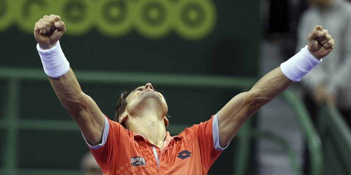 ATP Dauha: Ferrer víťazom turnaja ATP v Dauhe
