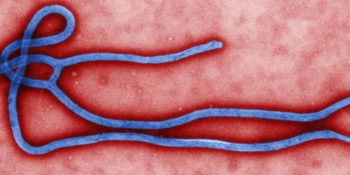 Na ebolu ochorelo už viac ako 21-tisíc ľudí, vyše 8400 z nich zomrelo
