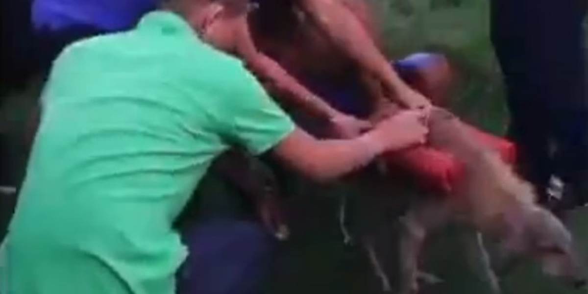 Otrasné VIDEO: Skupinka mladíkov vyhodila do vzduchu psa so zábavnou pyrotechnikou