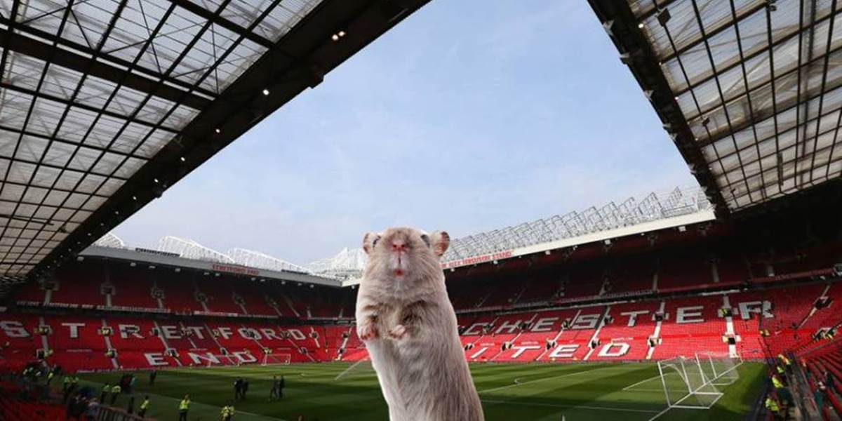 Manchester United čelí na Old Trafforde myšej invázii