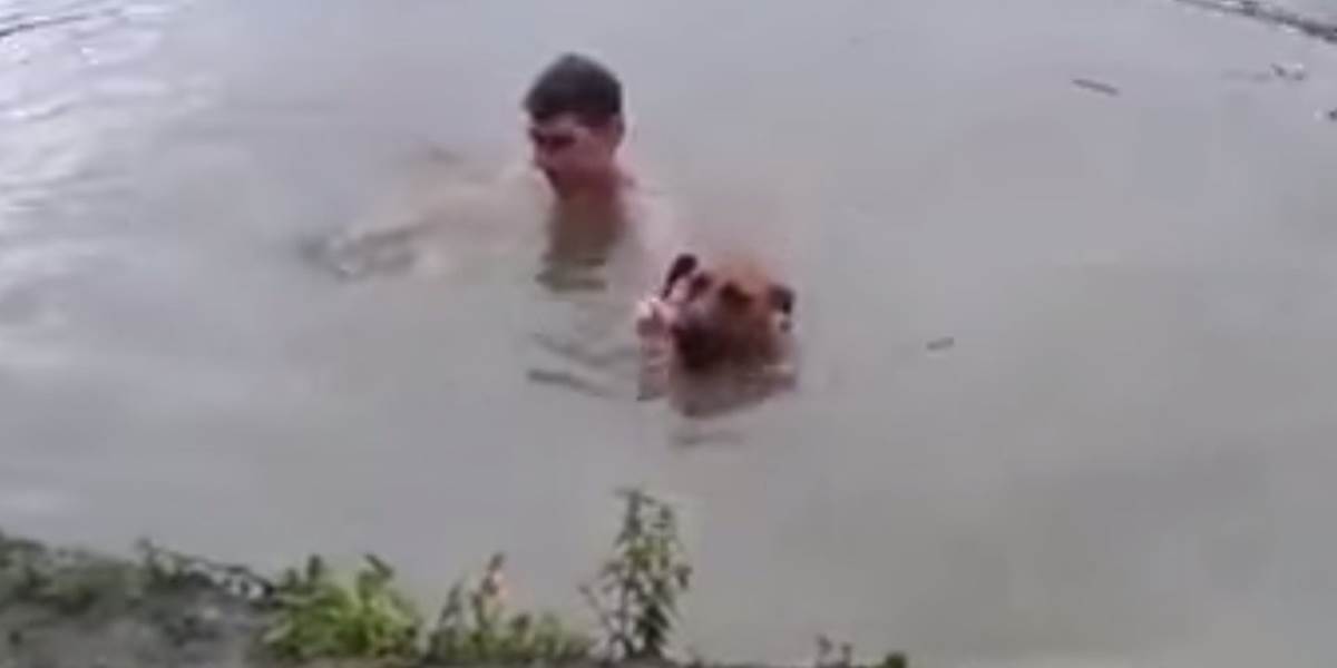 VIDEO Pes si myslel, že sa jeho majiteľ topí, ihneď ho vyťahoval z vody