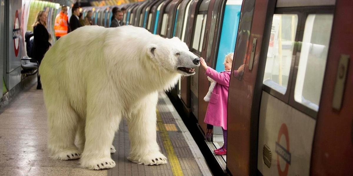 VIDEO V londýnskom metre sa prechádzal obrovský ľadový medveď