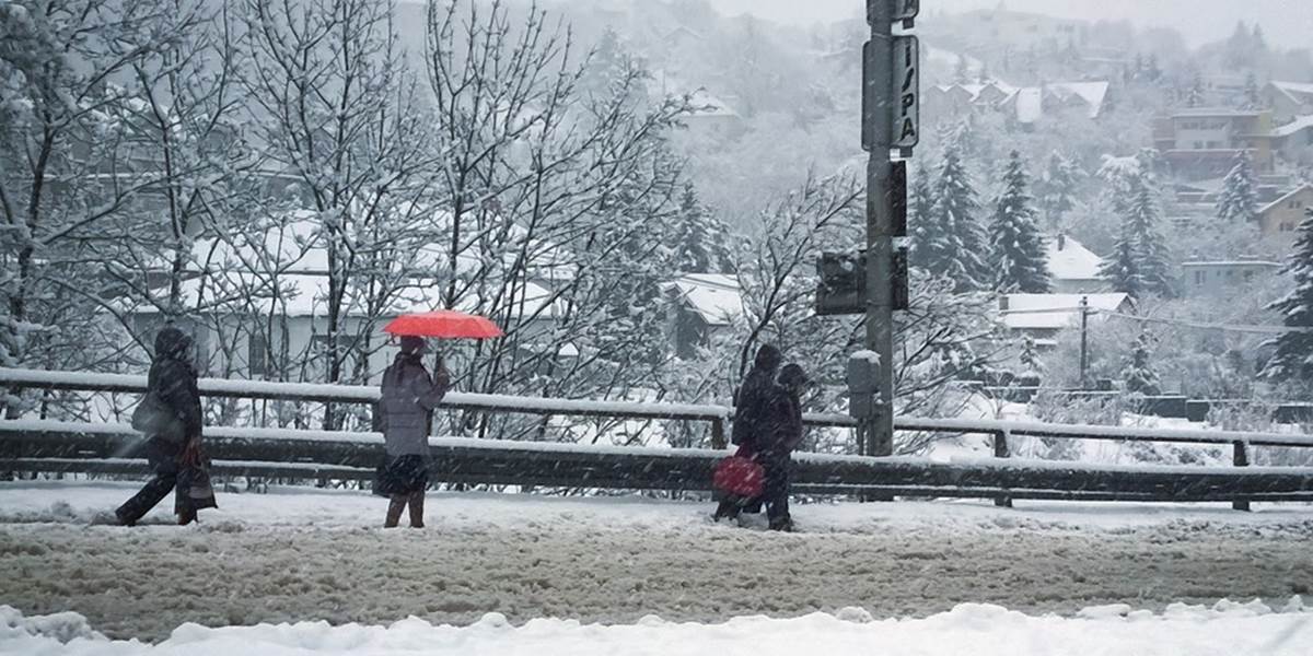 Nápor snehu nevydržal v Bratislave strom, zavalil sedemročného chlapca