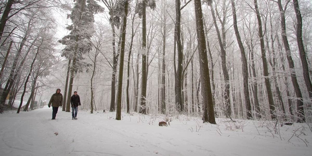 Prvá februárová nedeľa bude zamračená, s ojedinelým snežením a dažďom