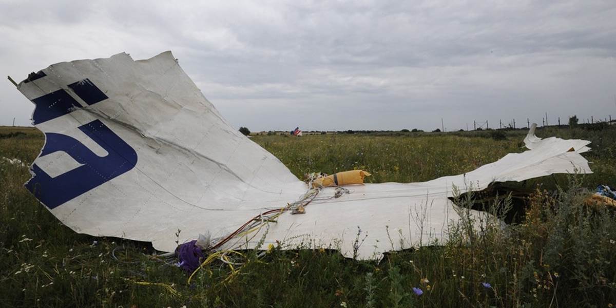 Na Ukrajine našli ďalšie pozostatky z malajzijského lietadla