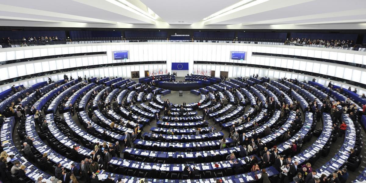 Socialisti a demokrati  v Európskom parlamente odsúdili slovenské referendum