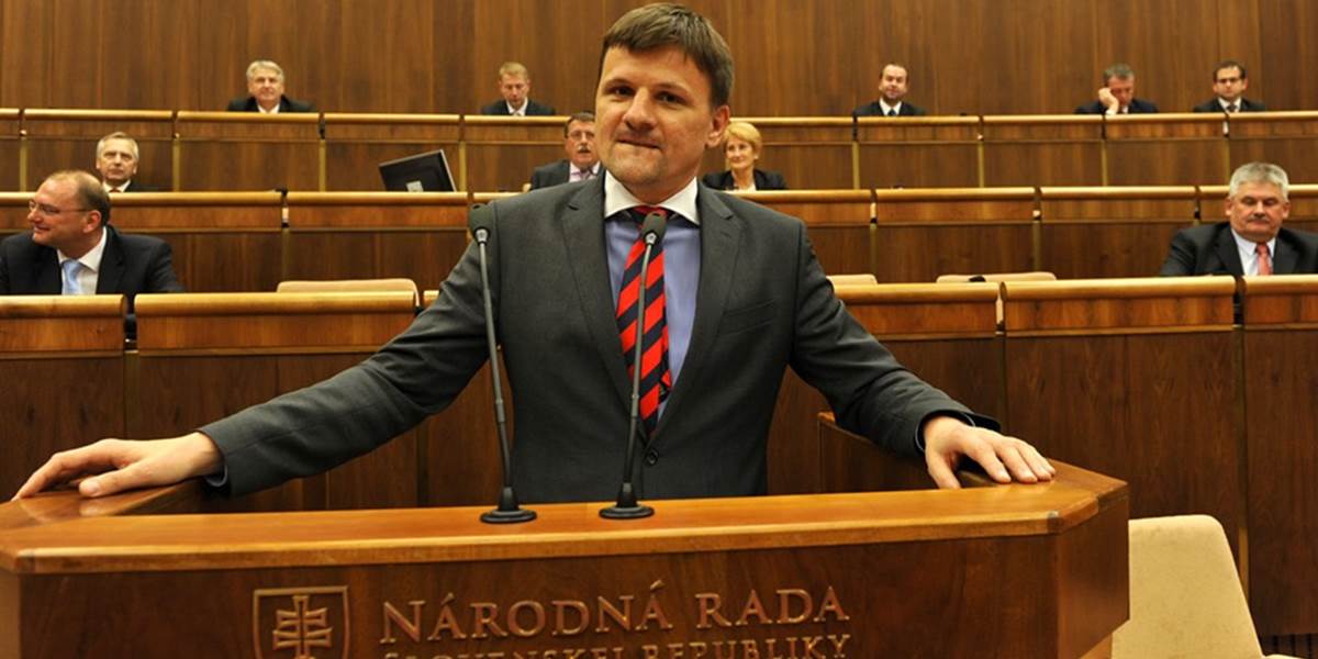 Hlina chce zmenu zákona pri organizovaní referenda politickou stranou