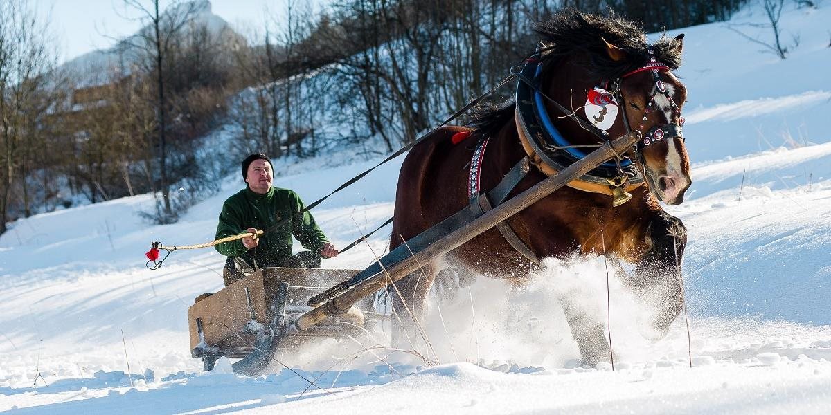 Gazdovské kone si po ročnom výpadku zmerali sily pod sochou Jánošíka