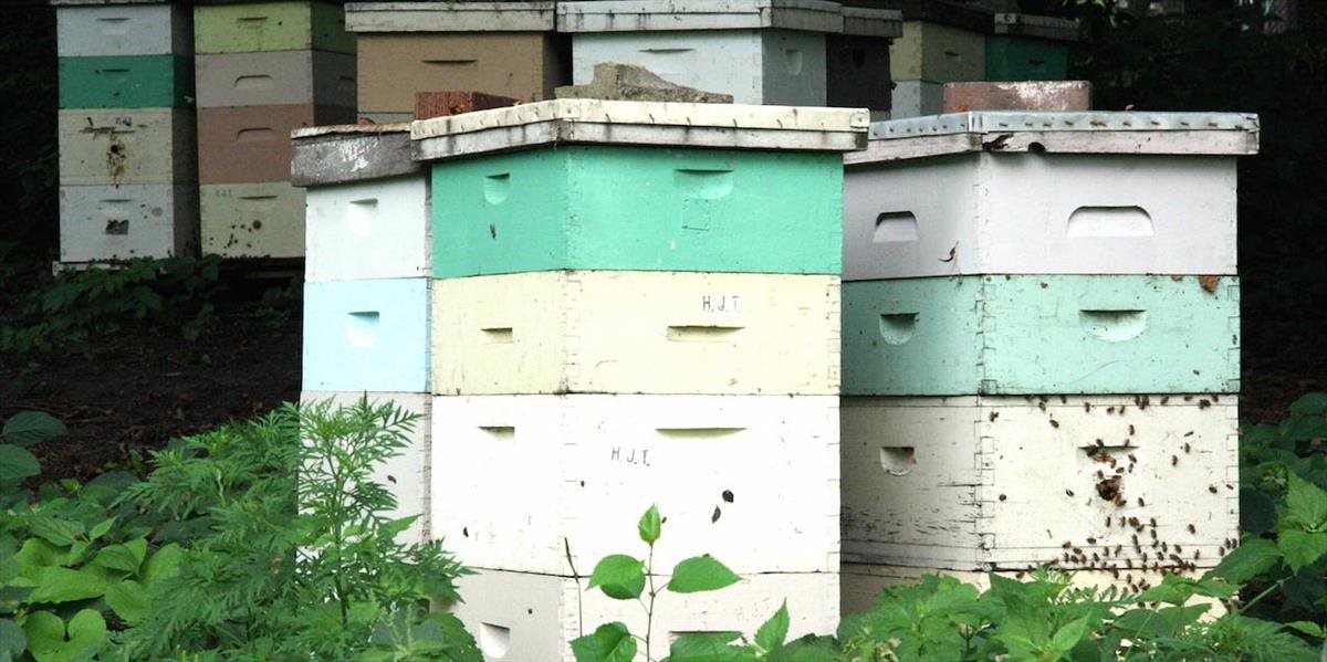 Muž zničil úle, zahynulo 25 včelích rodín