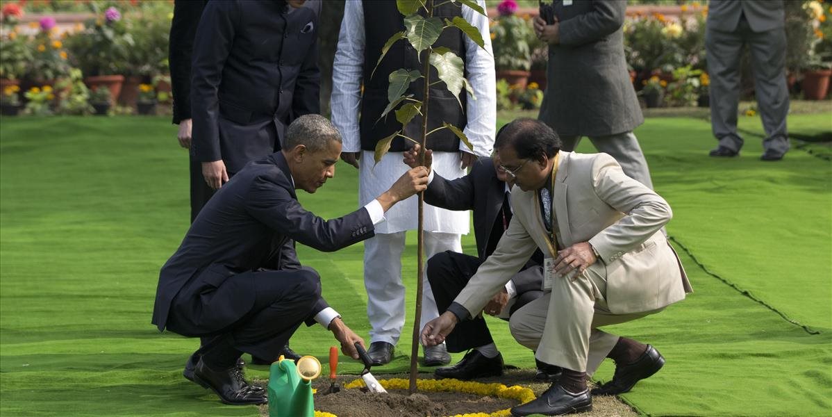 Obamov strom v Indii neuhynul, iba tak vyzerá