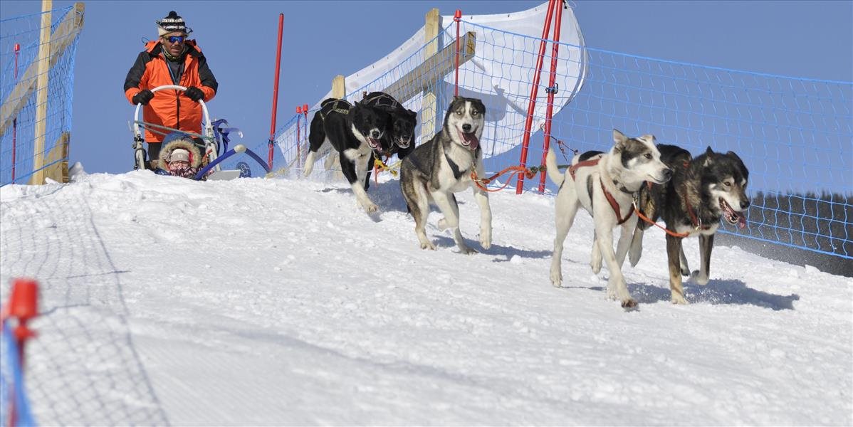 Šiesty ročník akcie Snežné psy si nenechalo ujsť niekoľko tisíc ľudí