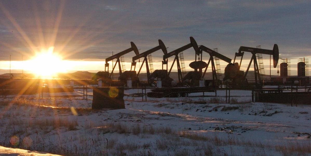 ROPA: Ceny ropy stagnujú, americká WTI sa obchoduje nad 50,50 USD za barel