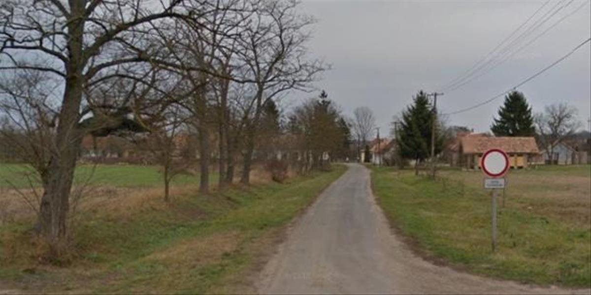 Maďarská dedinka Megyer je na prenájom: V cene sú ulice, autobusová zástavka aj zvieratá