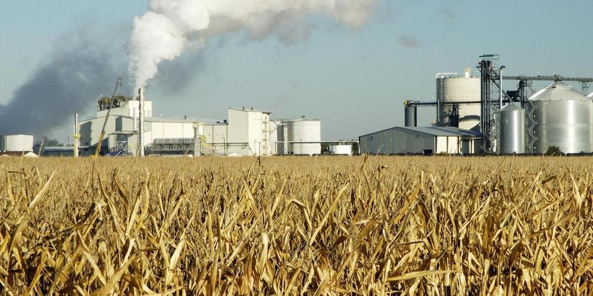 Pestovanie biopalív na poľnohospodárskej pôde má mať limity, súhlasia ochranári