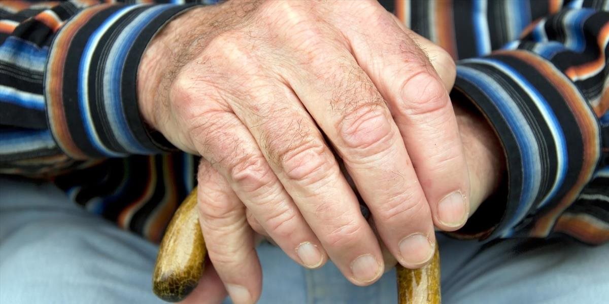 Novomešťan okradol dôchodcu o 450 eur, hrozí mu dvojročné väzenie