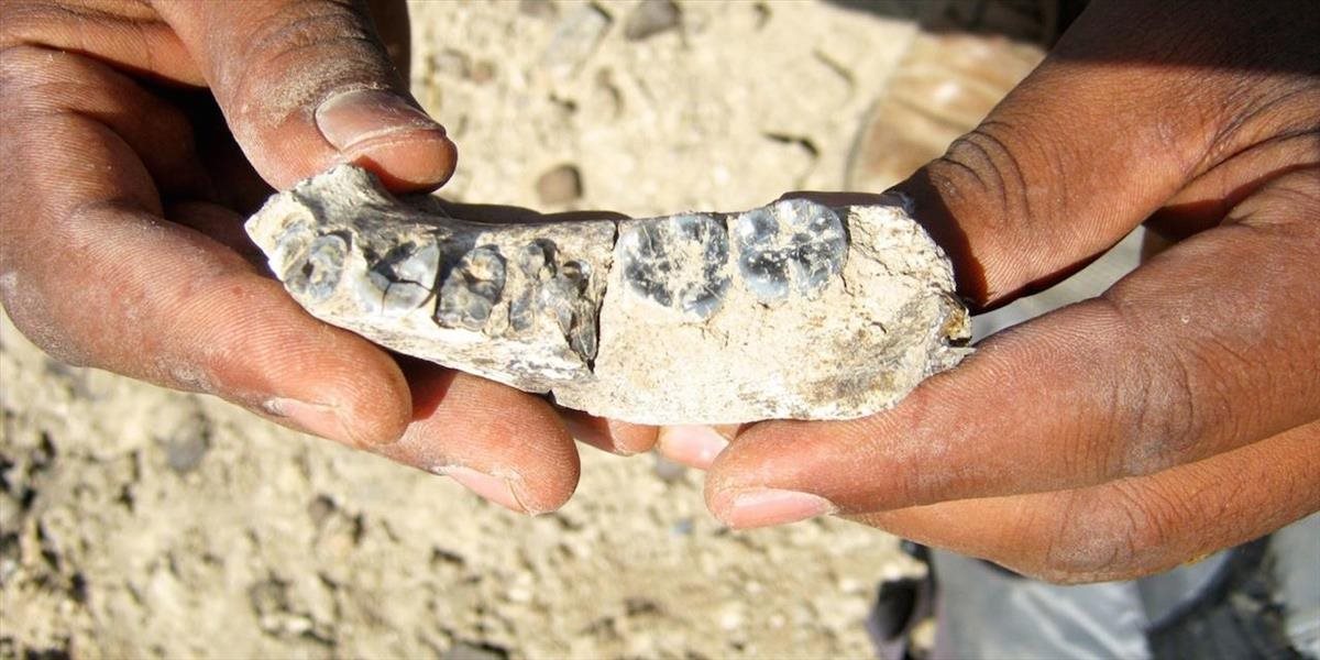V Etiópii objavili najstaršie pozostatky človeka