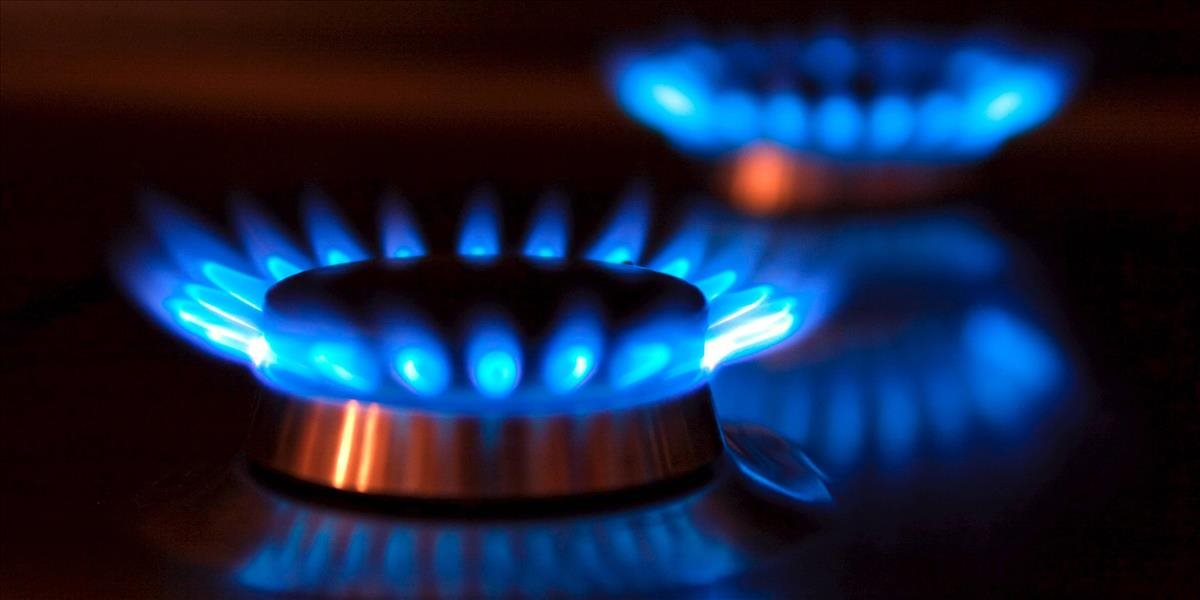 Cenu plynu na medzinárodnom trhu ovplyvňuje najmä situácia na Ukrajine