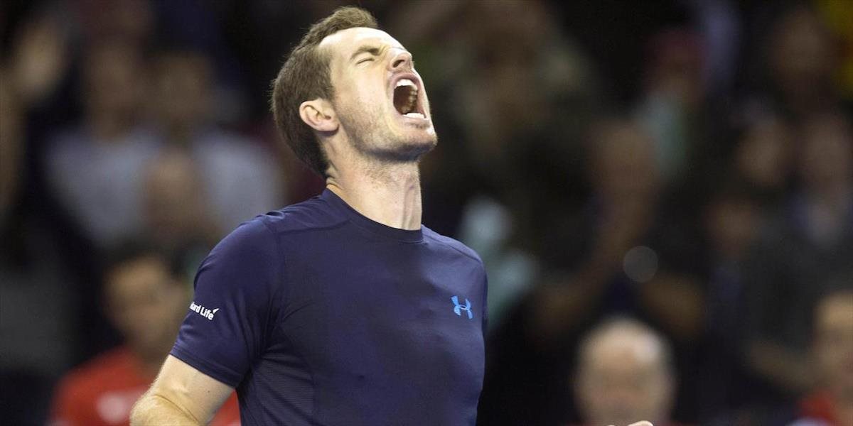 Davis Cup: Murray si želá štvrťfinále proti Francúzom na tráve
