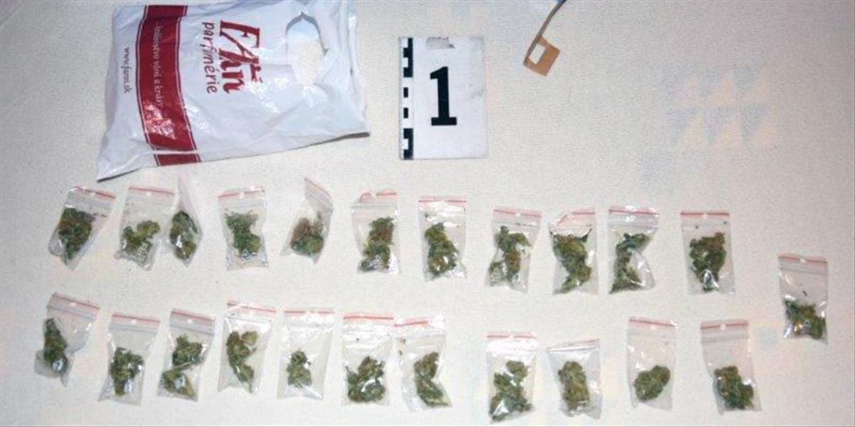 Trnavská polícia urobila domové prehliadky u predajcov drog